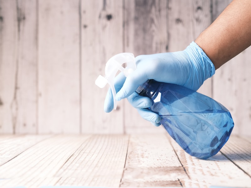 Professional Cleaning Service
